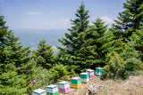 ILÍA USDA Organic Wild Forest Greek Honey ILÍA USDA Organic Wild Forest Greek Honey